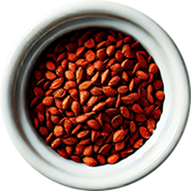 A small pile of bright red Annatto seeds in bowl. 